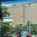 신라샘1 | 서울 신라호텔 호캉스 후기 | 디럭스더블룸 • 망고빙수 • 어반아일랜드 🏊🏻‍♀️💛