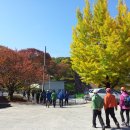 이모네생선구이 이미지