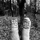 서정공원(서정문화공원) 이미지