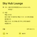 스카이 P.P 이미지