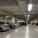 이마트트레이더스 주차장입구 횡단보도 이미지