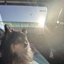 프리티멍 이미지