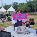 울주 피크닉 콘서트 유월의 밤 이미지