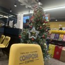 컴포즈커피 강릉솔올점 이미지