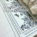 홈인테리어 바나스튜디오 빨아쓰는 규조토 발매트 롱버전 후기