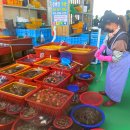 민박어항 이미지