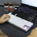 체리PC | 무선 마그네틱 게이밍 키보드 추천! 체리 엑스트리파이 MX8.2 TMR 솔직 장단점 사용 후기