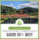 백두그린 이미지