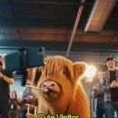 특별한하루 이미지