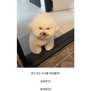 아시아덴탈파트너스 | [기업공부] 레이(228670) #6 - 2021년 사업보고서 리뷰