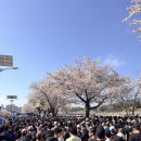 크루피시방 | 인생 첫 마라톤 후기. 진주 남강 벚꽃 마라톤 신청 꿀팁과 대기 시간 즐기는 방법