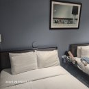 올라이드(All RlDE) | ✈️ 올해 가장 큰 결심 - 미국 여행 ✈️