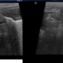 24시프라임동물병원 이미지