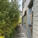 창가의 풍경 | 공주 뷰 맛집 공다방 공산성 코 앞 위치 창가 풍경이 좋은 카페