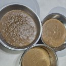 [미각체험] 원장님표 도토리묵 무침😋 이미지