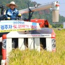 그냥 심심해서요. (50524) 모내기 4개월 만에 벼 수확 이미지