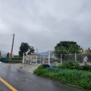 신사리 선돌 네이버블로그