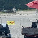 대진카도크센타 | 혼자서 묵호 여행으로 힐링✨