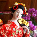 도로시돈부리 이미지