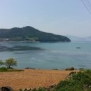 서연환경 Daum카페