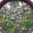 곡천농장 Daum카페