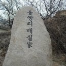 매화랜드 이미지