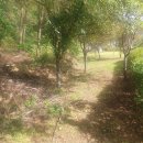 상당근린공원 이미지