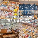 보물섬 | 부산 팝업스토어 11월 성수동 편집샵 보물섬 후기