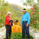 덕현농장 이미지