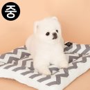 도그365 쇼핑하우