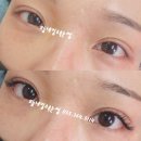 오늘네일 수속눈썹