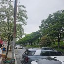 최 돼지국밥 | 부산 돼지국밥 맛집 '합천일류돼지국밥' 내돈내산 후기