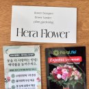 훈플라워 - 창원시 의창구 팔용로420번길 15 | 대전 복수동 무인꽃집 헤라플라워에서 어버이날 카네이션과 졸업식 꽃다발 그리고 결혼식 부케 후기