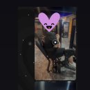 오르카짐