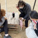 신하라당구장 | [홍천 리조트] 소노펫 클럽앤리조트 비발디파크, 댕캉스 성지 소노펫 골드룸 2박 3일 투숙 후기