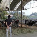 이철주목장 이미지