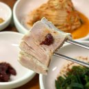 송월식당 - 고흥군 녹동남촌1길 6-3 | [양양 맛집]송월메밀국수 - 현지인도 찾는 메밀국수 맛집, 물메밀국수, 비빔메밀국수, 수육, 문어 후기