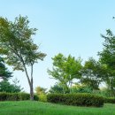 이화공원 화장실 이미지