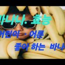 어린이 어르신 좋아하는 바나나 효능 이미지