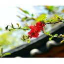 남간정사 이미지