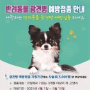 노형동물병원 이미지