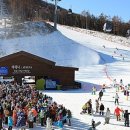 파인유스호스텔 이미지