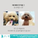 윤스피부미용