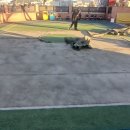 유니유치원(유니어린이집) | 유니매트 어린이집미니 풋살장설치 30미리스포츠잔디 시공 후기