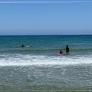 남애서핑클럽 이미지