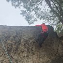 계배대장님.2바뀌동영상 이미지