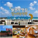 달뜨는마을 | 제주도 월정리 맛집 달이뜨는식탁 두툼한 돈까스 제주 구좌 맛집