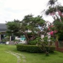 해찬솔가 이미지