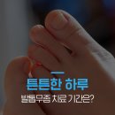 한국메나리니(주) 이미지