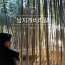 냉천강변 공중화장실 | 마삭줄 군락지 창녕 남지개비리길 대나무숲 방문 시 주의점 부산 근교 가볼만한 자연여행지